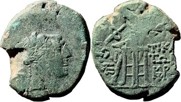 ������: 202-3111