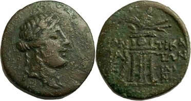 ������: 202-3111