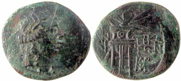 ������: 202-3111