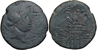 ������: 202-3111