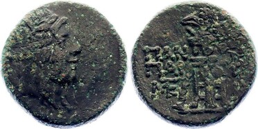 ������: 202-3111