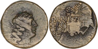 ������: 202-3111