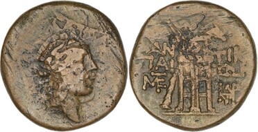 ������: 202-3111