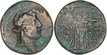 ������: 202-3111