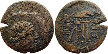 ������: 202-3111