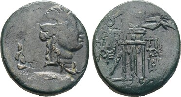 ������: 202-3111