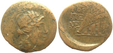 ������: 202-3111