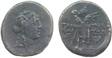 ������: 202-3111