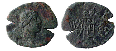 ������: 202-3111