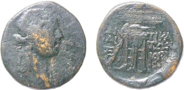 ������: 202-3111