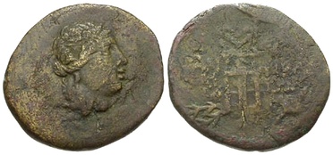 ������: 202-3111