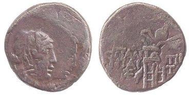 ������: 202-3111