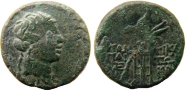 ������: 202-3111