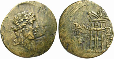 ������: 202-3111