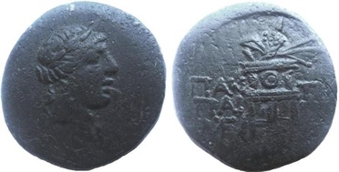 ������: 202-3111