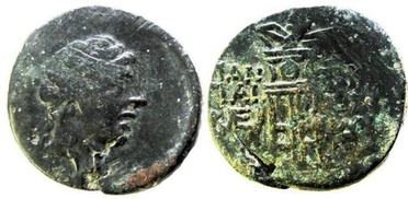 ������: 202-3111