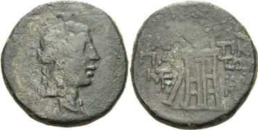 ������: 202-3111