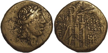 ������: 202-3111