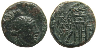 ������: 202-3111