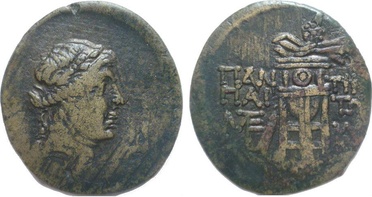 ������: 202-3111