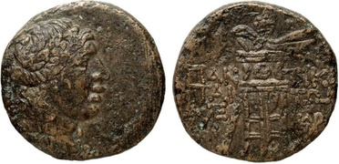 ������: 202-3111