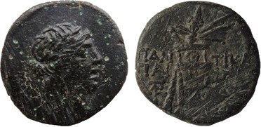 ������: 202-3111