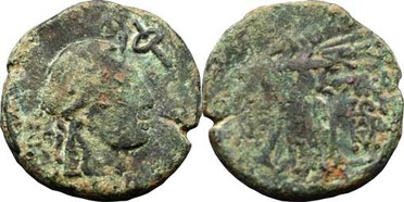 ������: 202-3111