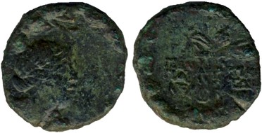 ������: 202-3111