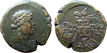 ������: 202-3111