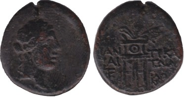 ������: 202-3111