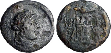 ������: 202-3111