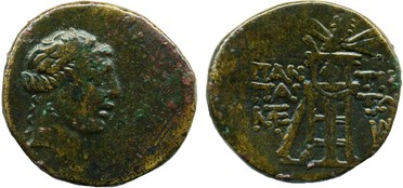 ������: 202-3111