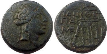 ������: 202-3111