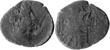 ������: 202-3111