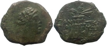 ������: 202-3111