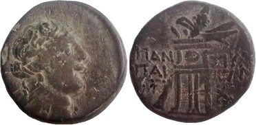 ������: 202-3111