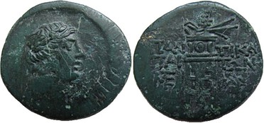 ������: 202-3111