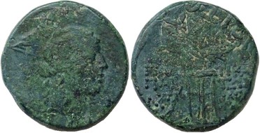 ������: 202-3111