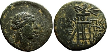 ������: 202-3111