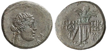 ������: 202-3111