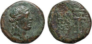 ������: 202-3111