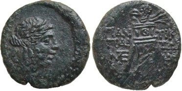 ������: 202-3111