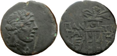 ������: 202-3111