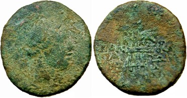 ������: 202-3111