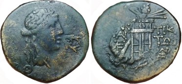 ������: 202-3111