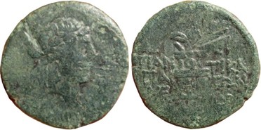 ������: 202-3111