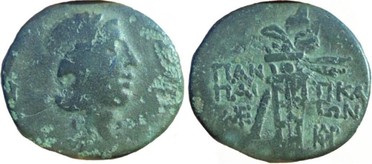 ������: 202-3111