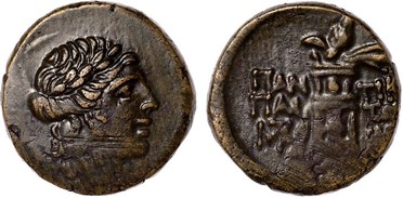 ������: 202-3111