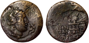 ������: 202-3111