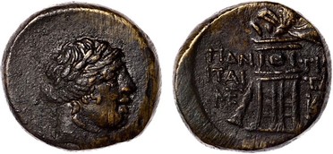 ������: 202-3111